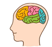 認知症とは　脳　The dementia is a brain.